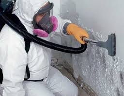 Environmental Consulting for Mold Prevention in Champion Heights, OH